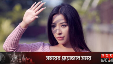 অ্যাডাল্ট সাইটে ছবি দেওয়ার অভিযোগে মডেলের কারাদণ্ড