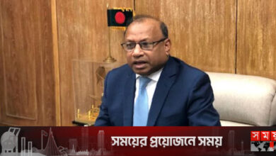 এডিস মশা বিমানে করে বাংলাদেশে এসেছে