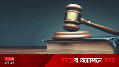 কুকুর হত্যায় যবিপ্রবির রেজিস্ট্রারসহ ৪ জনের নামে মামলা