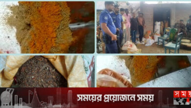 পচা মরিচে রং দিয়ে তৈরি হচ্ছিল মরিচের গুড়া, জব্দ ২ টন