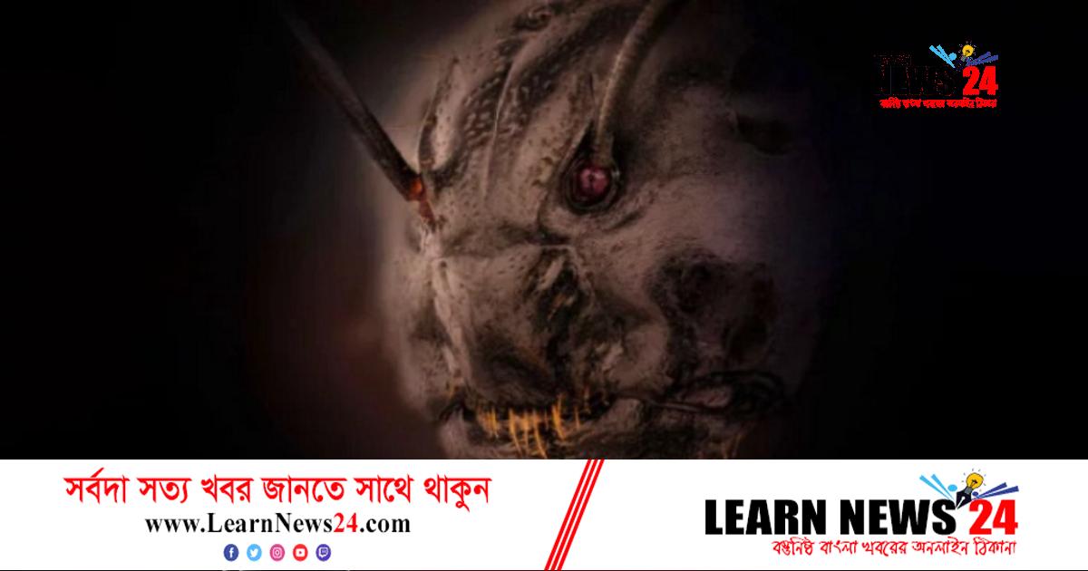 পিঁপড়ার এমন ভয়ংকর চেহারা!