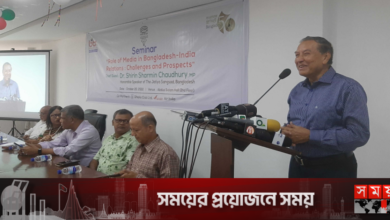 ফের প্রধানমন্ত্রীর প্রশংসা করলেন মাহফুজ আনাম