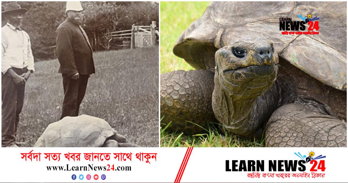 বিশ্বের সবচেয়ে দীর্ঘজীবী কচ্ছপ