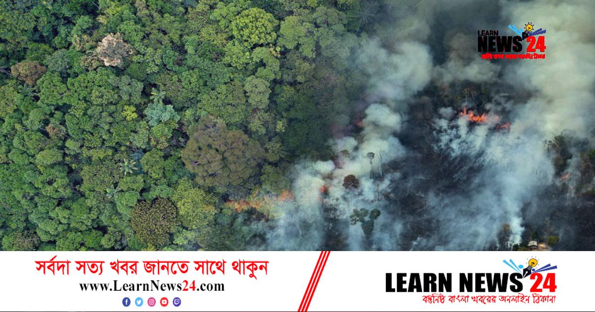 ব্রাজিলের নির্বাচনে ঝুলছে আমাজনের ভাগ্য ব্রাজিলের নির্বাচনে ঝুলছে আমাজনের ভাগ্য