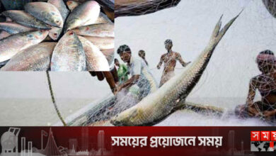মধ্যরাত থেকে ২২ দিন ইলিশ ধরা-বেচাকেনা বন্ধ