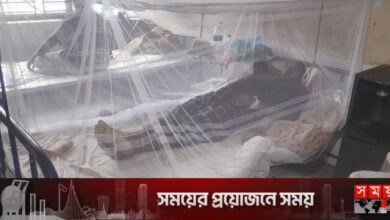 মাদারীপুরে ডেঙ্গু বাড়ছেই, একদিনে আক্রান্ত ১২ জন