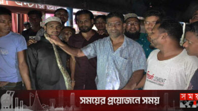 মৌলভীবাজারে আবারও অজগর উদ্ধার