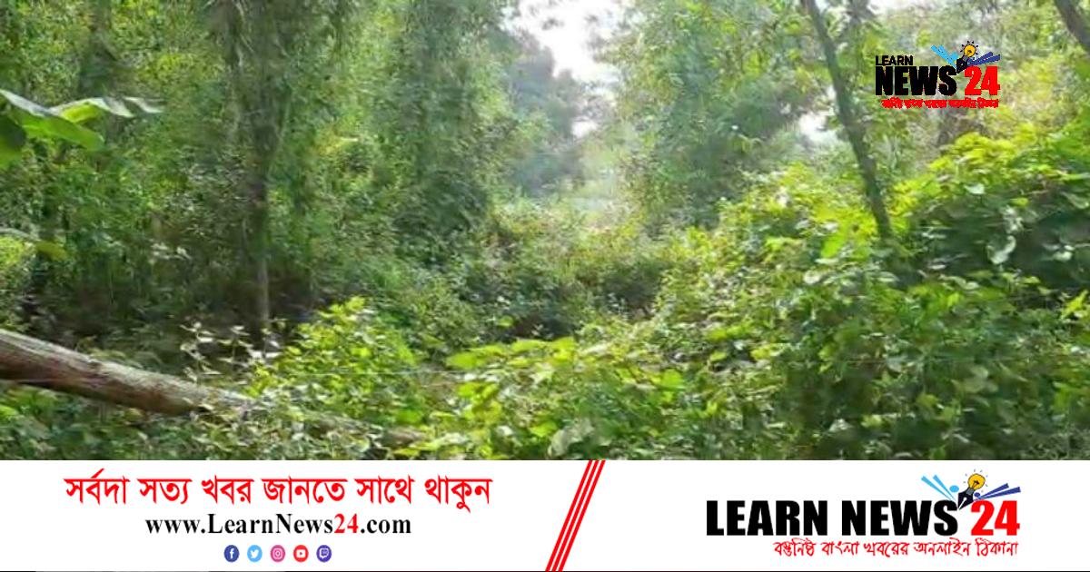 শেরপুরের পাহাড়ি এলাকায় বাঘ আতংক