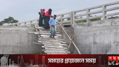 ৪ কোটির সেতুতে উঠতে হয় মই বেয়ে!
