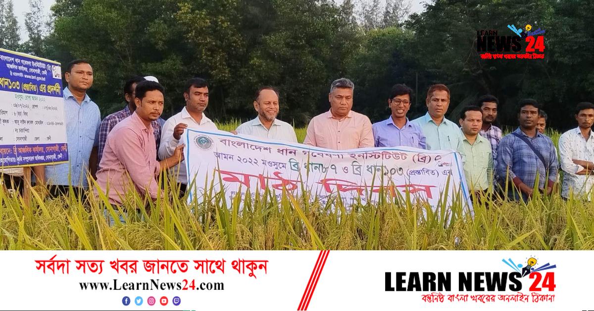 সোনাগাজীতে আমন মৌসুমে ধান চাষে উদ্বুদ্ধকরণ মাঠ দিবস সোনাগাজীতে আমন মৌসুমে ধান চাষে উদ্বুদ্ধকরণ মাঠ দিবস