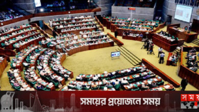 দুই পদের নাম বদলে সংসদে ‘পরমাণু শক্তি কমিশন’ বিল পাস