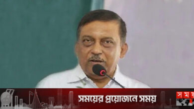 সোহরাওয়ার্দী উদ্যানে সমাবেশের অনুমতি পাবে বিএনপি: স্বরাষ্ট্রমন্ত্রী