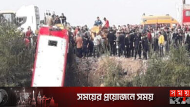 মিশরে বাস খাদে পড়ে নিহত ১৯