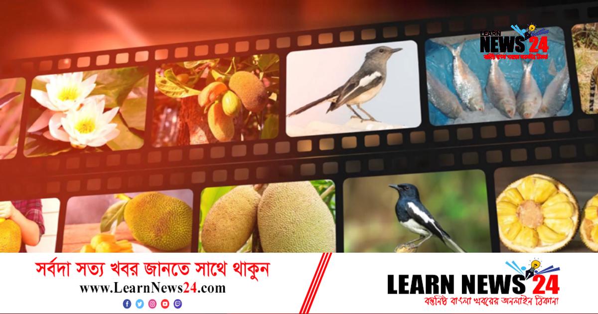 কীভাবে নির্ধারণ হয় জাতীয় পশু, পাখি, ফুল, ফল?