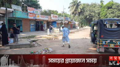 দ্বিতীয় দিনে মাগুরায় পরিবহন ধর্মঘট