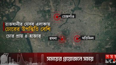 ঢাকা মহানগরীতে চার হাজার চোরের বসবাস