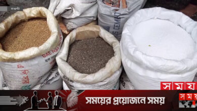 সৌদি-ইউএই থেকে ৯০ হাজার মেট্রিক টন সার কিনছে সরকার