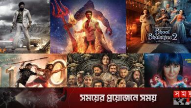 দক্ষিণী সিনেমার দাপটে রাজত্ব হারাচ্ছে বলিউড