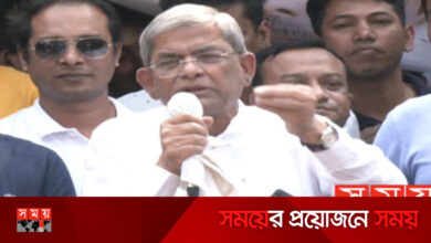 সরকার পরিকল্পিতভাবে দেশের কৃষকের কোমর ভেঙে দিয়েছে: ফখরুল