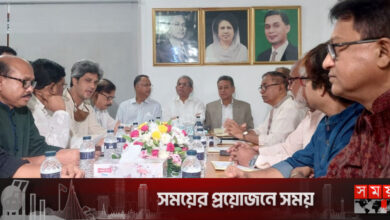 বিএনপির সঙ্গে বৈঠকে গণতন্ত্র মঞ্চ