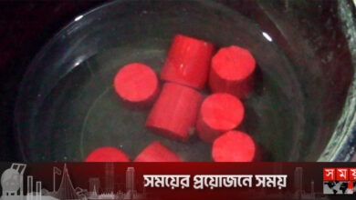 নাটোরে ককটেল বিস্ফোরণ, বিএনপিকর্মী আটক