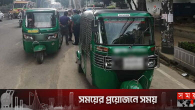 লুকিং গ্লাস বাইরে রাখতে হাইকোর্টে সুপারিশ