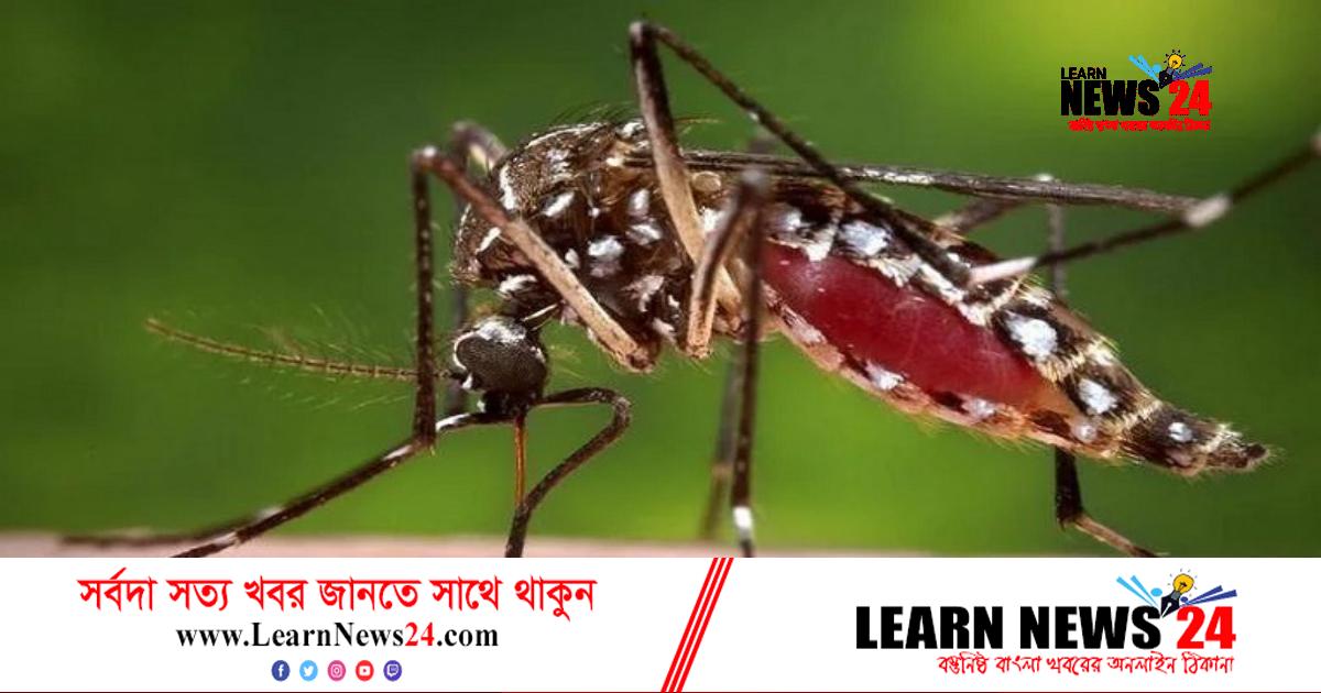 ডেঙ্গুতে মৃত্যু আরও ৩, আক্রান্ত ৫১৫ ডেঙ্গুতে মৃত্যু আরও ৩, আক্রান্ত ৫১৫
