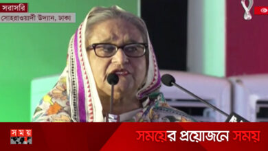 আন্দোলনের নামে মানুষ পুড়িয়ে মারলে বিএনপিকে ছাড় নয়: শেখ হাসিনা