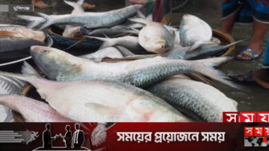 মাওয়ায় রুপালি ইলিশের পসরা, উপচেপড়া ভিড়