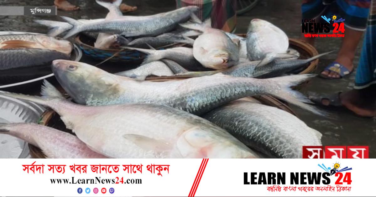 মাওয়ায় রুপালি ইলিশের পসরা, উপচেপড়া ভিড় মাওয়ায় রুপালি ইলিশের পসরা, উপচেপড়া ভিড়