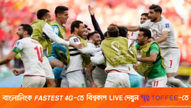 ওয়েলসকে হারানোর খুশিতে ৭০৯ বন্দিকে মুক্তি দিল ইরান