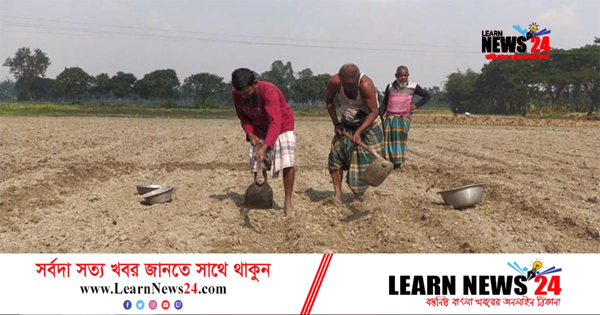 নওগাঁয় মৌসুমের শুরুতে সার নিয়ে কারসাজি, চড়া দামে বিক্রি নওগাঁয় মৌসুমের শুরুতে সার নিয়ে কারসাজি, চড়া দামে বিক্রি