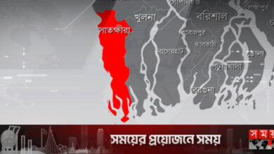 সাতক্ষীরায় ভাইকে হত্যার অভিযোগে ছোট ভাই গ্রেফতার