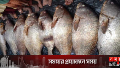 ৮টি কালা পোয়া মাছে বদলে গেল জেলে পরিবারের ভাগ্য