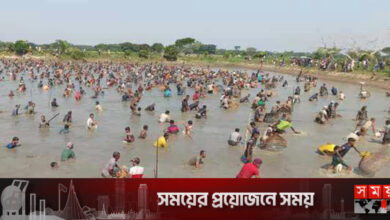 হাইতিবিলে পলো উৎসবে নামলেন হাজারো মানুষ