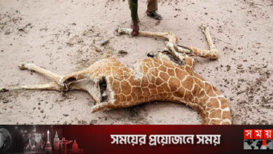 জলবায়ু পরিবর্তন: বৈশ্বিক উষ্ণতা বাড়ছে