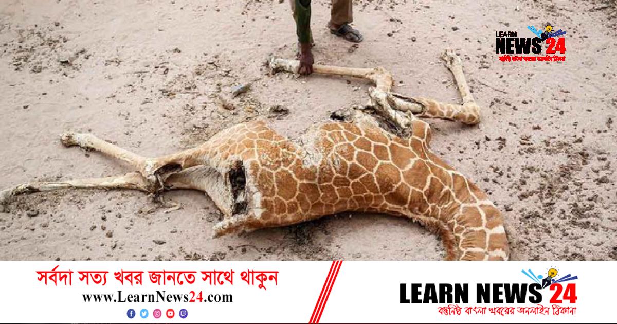 জলবায়ু পরিবর্তন: বৈশ্বিক উষ্ণতা বাড়ছে জলবায়ু পরিবর্তন: বৈশ্বিক উষ্ণতা বাড়ছে