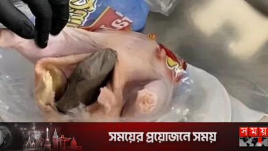 বিমানবন্দরে মুরগির পেটে পিস্তল!