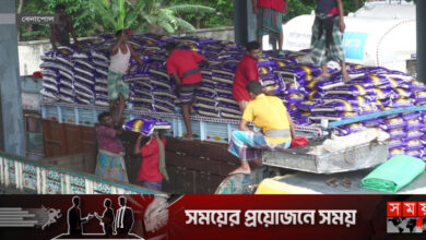 পাঁচ মাসে ভারত থেকে ৯০ হাজার মেট্রিক টন চাল আমদানি