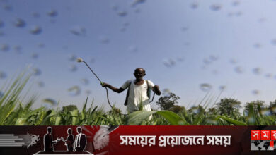 চীনকে হটিয়ে ভারতের সারের বাজারে রাশিয়ার আধিপত্য