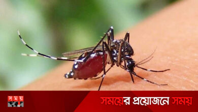 ডেঙ্গুতে মৃত্যু ৪, হাজার ছাড়াল আক্রান্ত