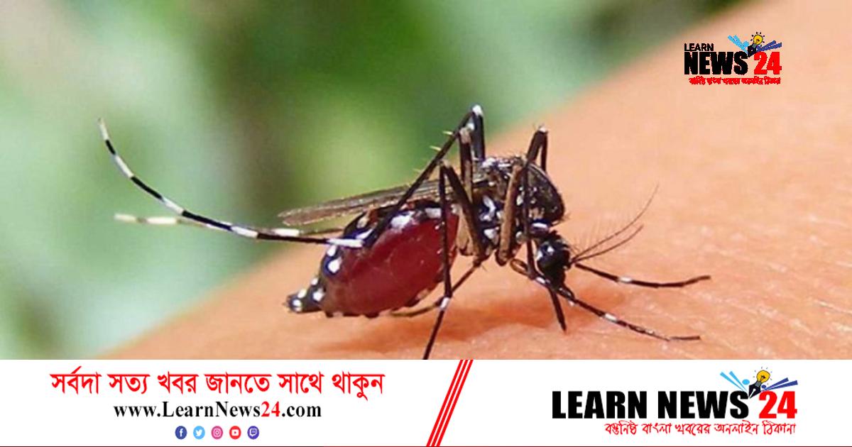ডেঙ্গুতে মৃত্যু ৪, হাজার ছাড়াল আক্রান্ত ডেঙ্গুতে মৃত্যু ৪, হাজার ছাড়াল আক্রান্ত