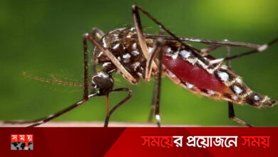 ডেঙ্গুতে আরও ৪ মৃত্যু, আক্রান্ত ৪২৬