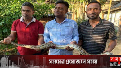 আবারও লোকালয়ে অজগর
