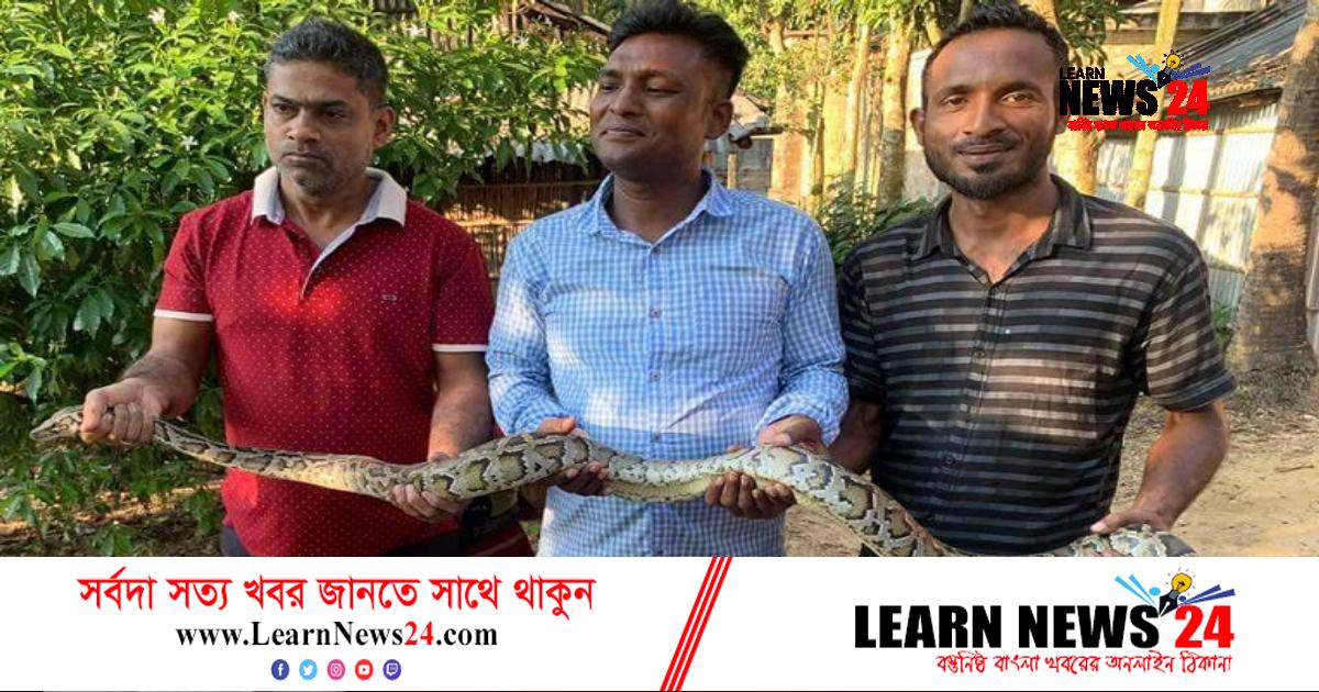 আবারও লোকালয়ে অজগর