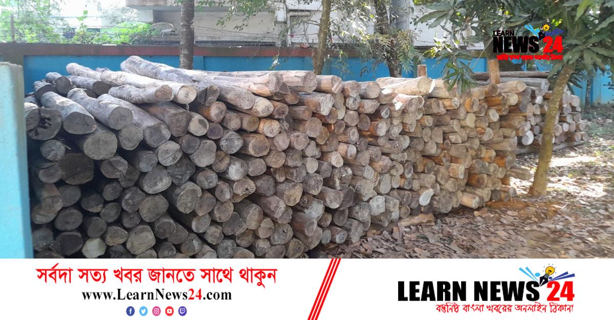 ফেনীতে ৩০০ ঘনফুট সেগুন কাঠ জব্দ
