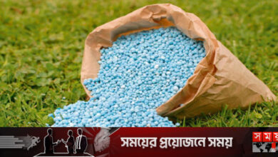 কানাডা-মরক্কো থেকে ৮০ হাজার টন সার কিনবে সরকার