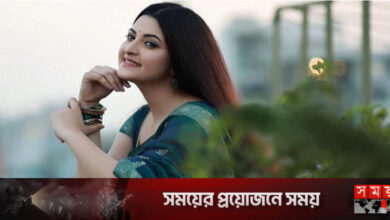 কীসের আভাস দিলেন পরীমনি?