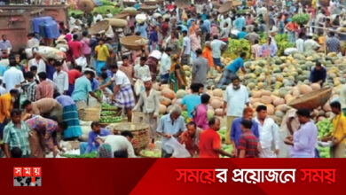 কৃষকের লোকসান, বাজারে অস্বস্তি, লাভ যায় কার পকেটে?