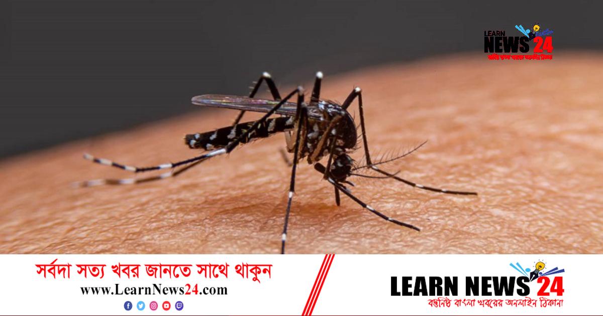ডেঙ্গু কেড়ে নিল আরও পাঁচজনের প্রাণ ডেঙ্গু কেড়ে নিল আরও পাঁচজনের প্রাণ